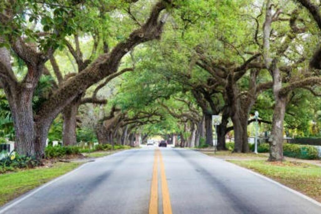 My Lovely Home In Miami 15 Minutes From The Beach المظهر الخارجي الصورة